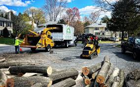 How Our Tree Care Process Works  in  Lakehills, TX